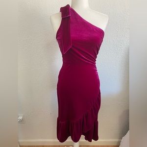Lucy Paris Magenta / Pink Velvet Dress